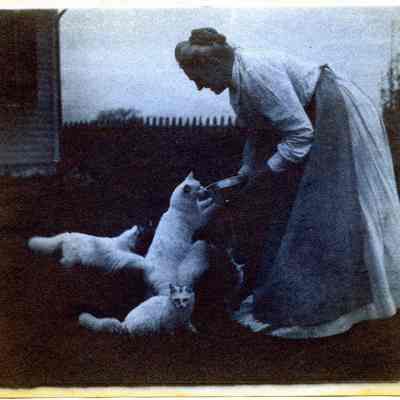 Emelie Miller Cushing with cats
