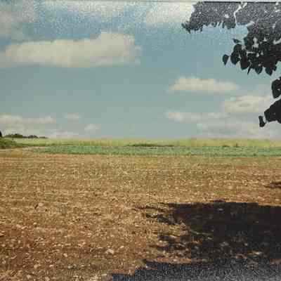 Farms in Mahwah