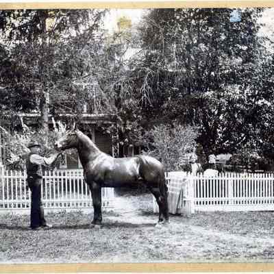 E.F. Carpenter with horse