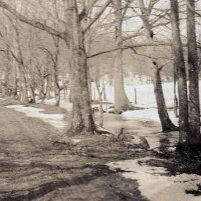 Ramapo River on the Havemeyer Estate