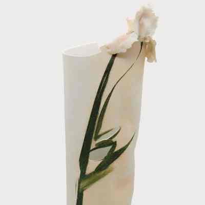 Iris Vase | Vase à iris