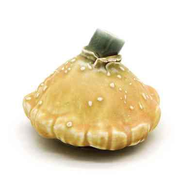 Patty Pan Vase | Vase en forme de courge pâtisson