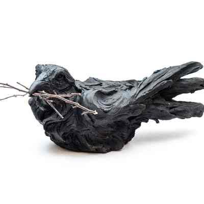 Crow | Corneille