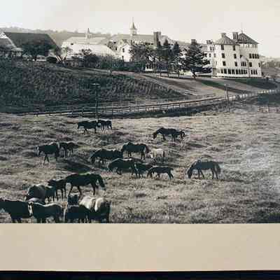 Vail Mansion fully realized with horses in the foreground: This image dates from circa 1915 - southern side of the mansion