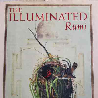 The illuminated Rumi / translations and commentary by Coleman Barks