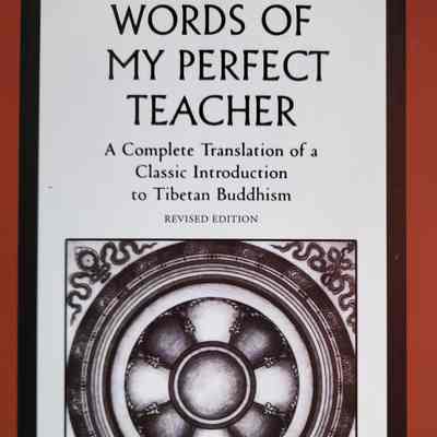 Words of my perfect teacher : a complete translation of a classic introduction to Tibetan Buddhism / by Patrul Rinpoche, with a foreword by the Dalai Lama
