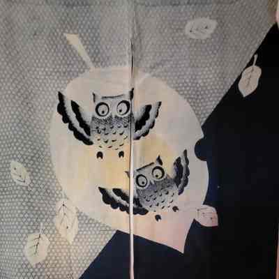 Noren (a.k.a Door Curtain)