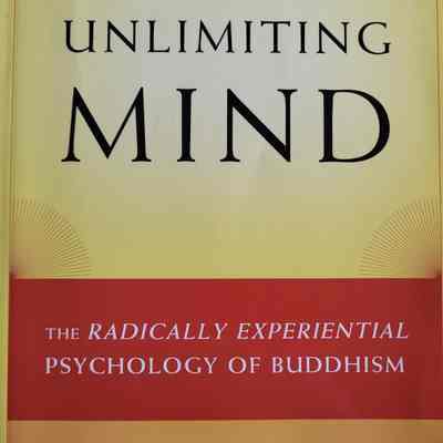 Unlimiting mind : the radically experiential psychology of Buddhism / Andrew Olendzki