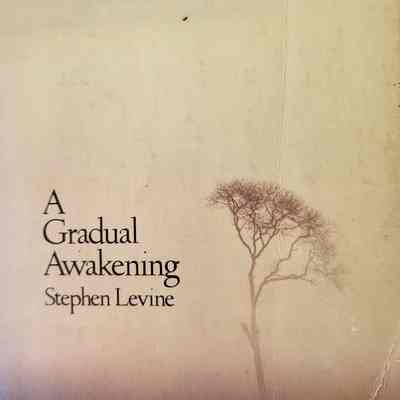 A gradual awakening / Stephen Levine