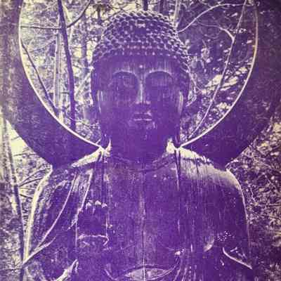 The satipatthana vipassana meditation : a basic Buddhist mindfulness exercise / Mahasi Sayadaw