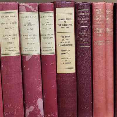 Sacred Books of the Buddhists [series] / translated by various oriental scholars