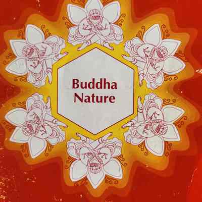 Buddha nature / Sallie B. King