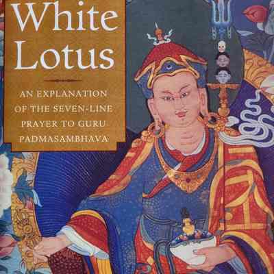 White Lotus : an explanation of the seven-line prayer to Guru Padmasambhava / Jamgon Miphan