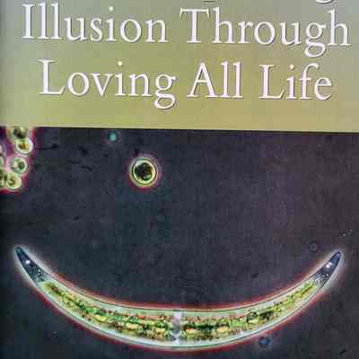 Contemplating illusion through all life / Lama Mark Webber