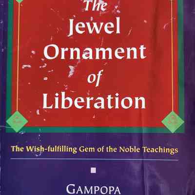 The jewel ornament of liberation : the wish-fulfilling gem of the noble teaching / Gampopa