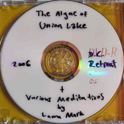 The algae of Union Lake : and various meditations / by Lama Mark