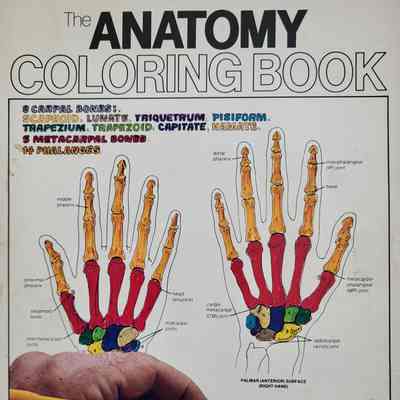 The anatomy coloring book