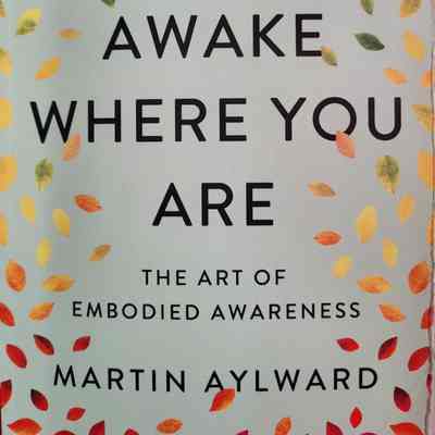 Awake where you are : the art of embodied awareness / Martin Aylward