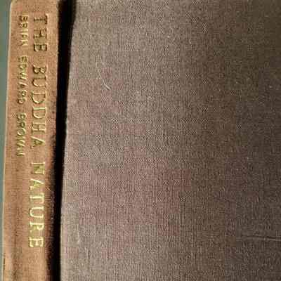 The Buddha nature / Brian Edward Brown