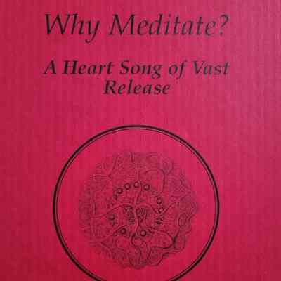 Why Meditate? : a heart song of vast release / Mark Webber