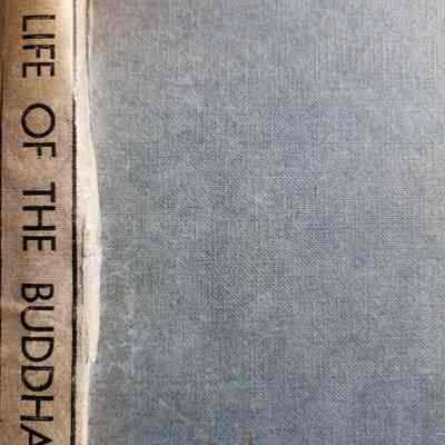 The life of the Buddha