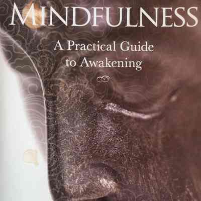 Mindfulness : a practical guide to awakening / Joseph Goldstein