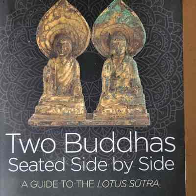 Two Buddhas seated side by side: a guide to the Lotus Sutra / Donald S. Lopez Jr. and Jacqueline I. Stone