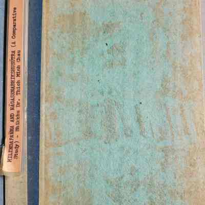 Milindapanha and Nagasenabhikshusutra : a comparative study through Pali and Chinese sources / Bhikkhu Dr. Thich Minh Chau