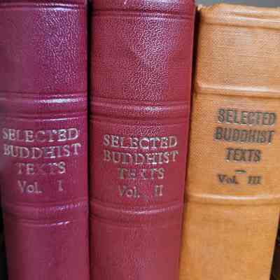 Selected Buddhist Texts from the Pali Canon [3 volumes]