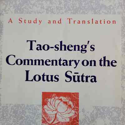 Tao-sheng's commentary on the Lotus Sutra : a study and translation / Young-Ho Kim