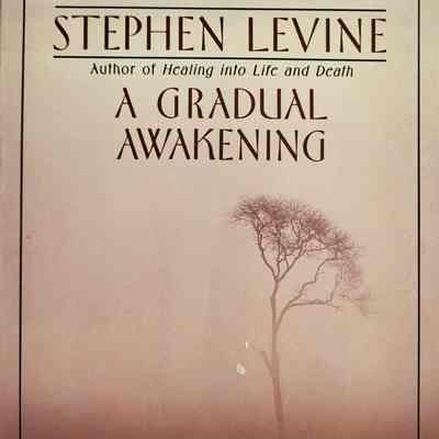 A gradual awakening / Steven Levine