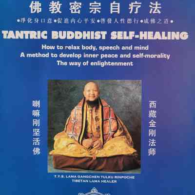 Tantric Buddhist self-healing / T.Y.S. Lama Gangchen Tulku Rinpoche