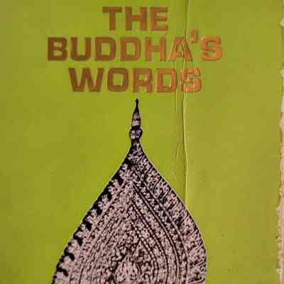 The Buddha's Words