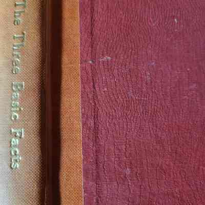The Three Basic Facts of Existence : Impermanence, Suffering, Egolessness