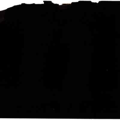 SCRB-3 p(34) blank