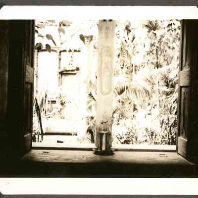 Dining Room Window to Courtyard