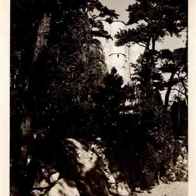 1930-1965 ocean side lawn
