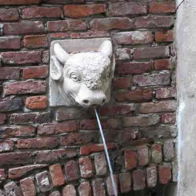 Bull's Head Converted into Fountain