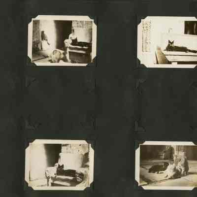 Hillman album p(20)
