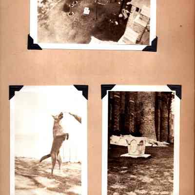 GRM p(9) castle exterior & dog