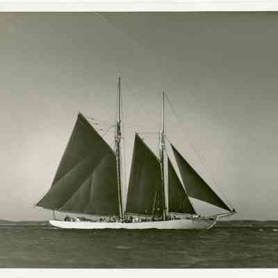 Odysseus III