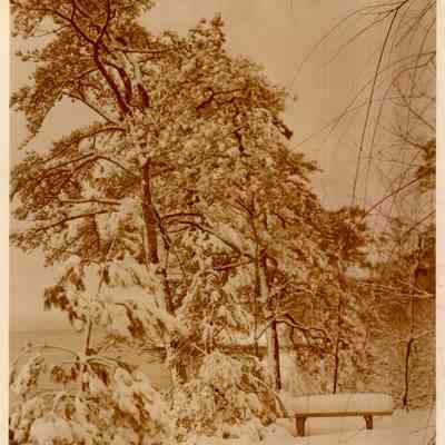 1930-1965 Snowy Lawn (Kupsinel photo)