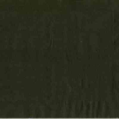 SCRB-18 p(24) blank