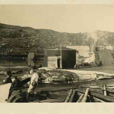 Timber processing, Nova Scotia