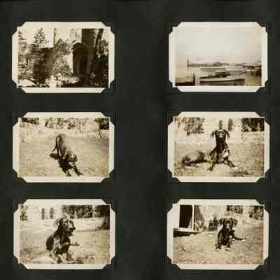 Hillman album p(25)