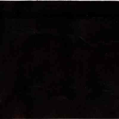 SCRB-1 p(52) blank