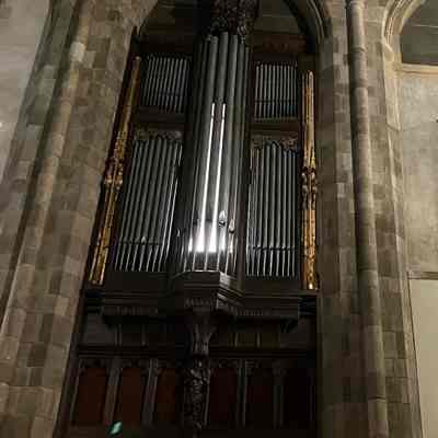 Organ Facades