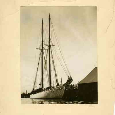 Odysseus III (C S Perutz image)