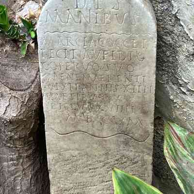 Epitaph of Aufidus - copy