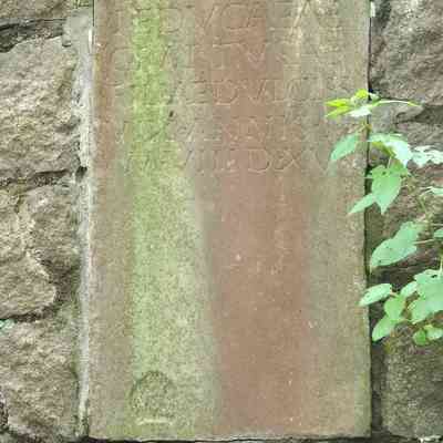Epitaph of Peducaea - copy (cat garden)